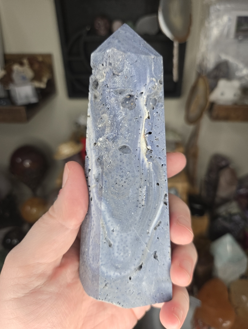 Fossilizwd Blue Coral Tower